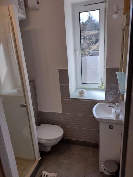 Apartmán Sudety Hut 3 Podgórzyn Exteriér fotografie