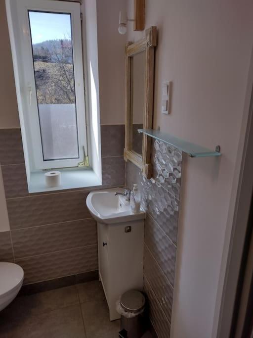 Apartmán Sudety Hut 3 Podgórzyn Exteriér fotografie